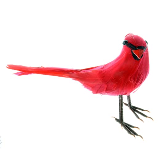 24 Pack: Cardinal Bird by Ashland®